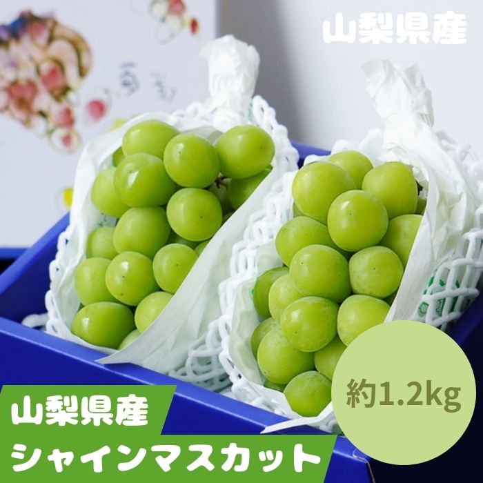 お買い物