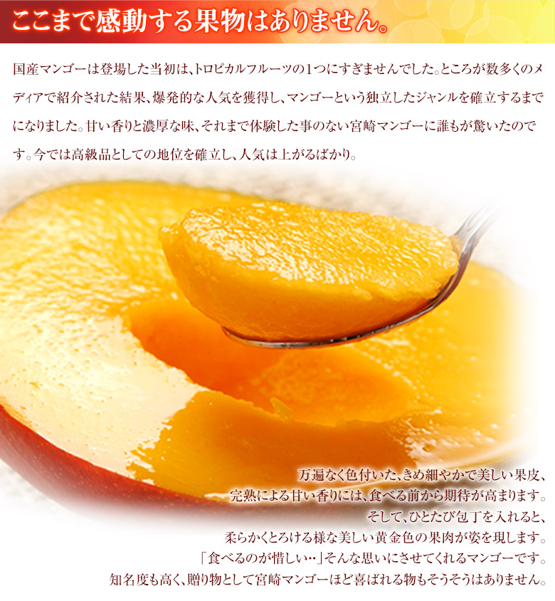 高品質宮崎マンゴー入荷！！！超お得！！送料込み！ 楽天市場】宮崎マンゴー 送料無料の通販