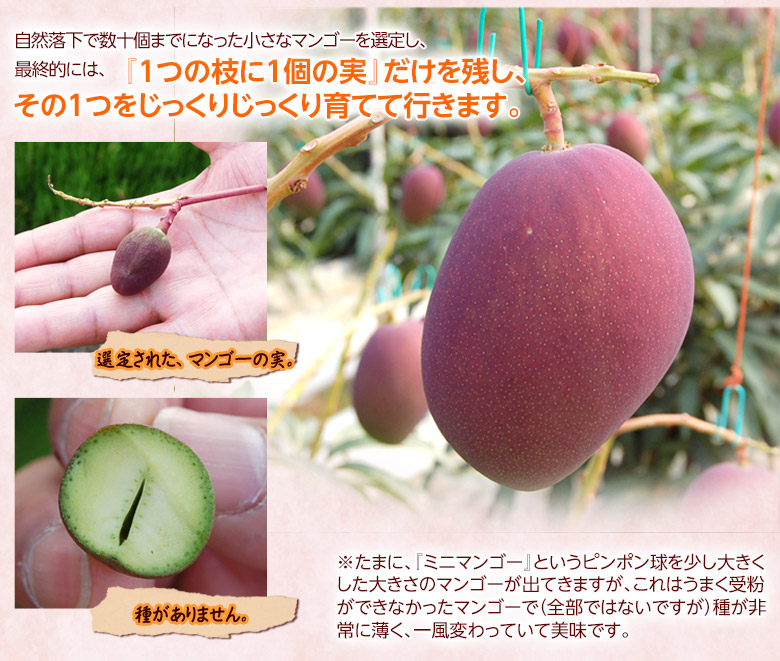 お買い物