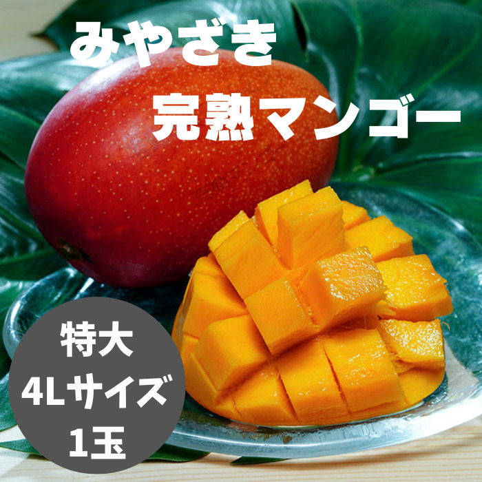 お買い物