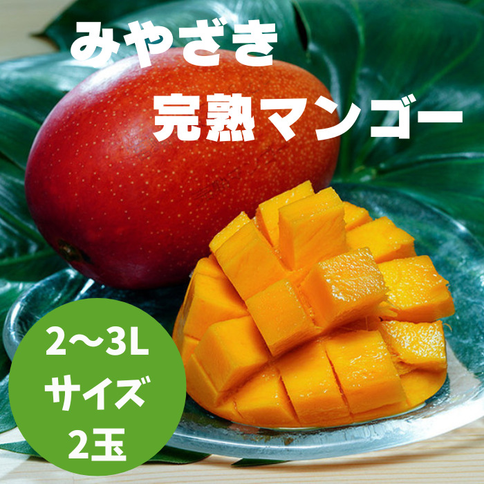 本日のオススメ 】 宮崎完熟 3Lのみマンゴー 9玉約4.2k ※家庭用※②