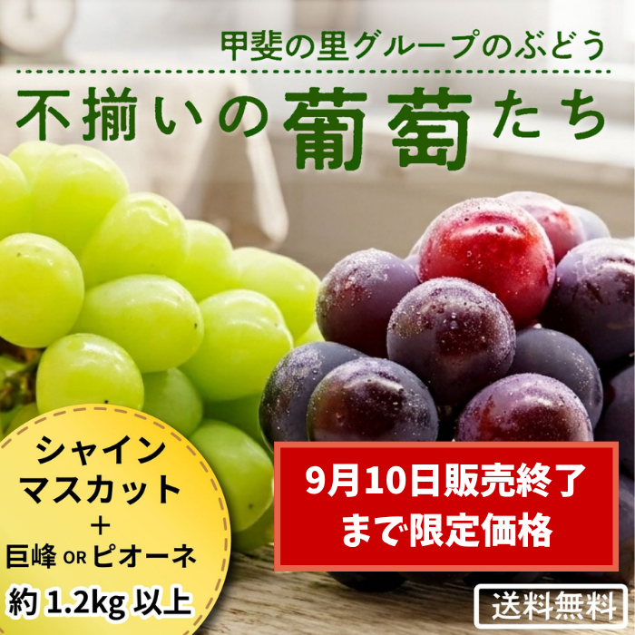 お買い物